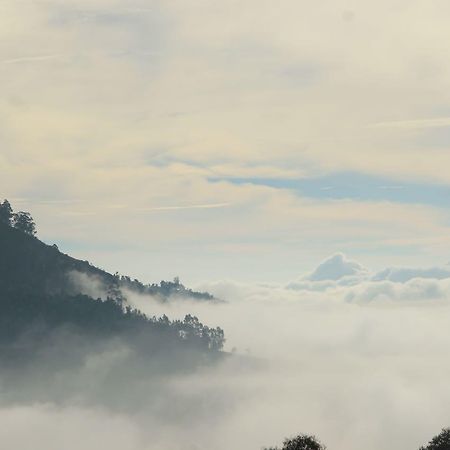Hide Away Cottages Ooty Extérieur photo