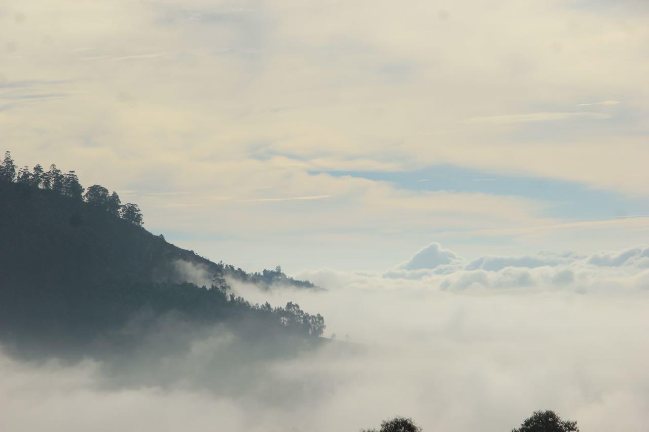 Hide Away Cottages Ooty Extérieur photo